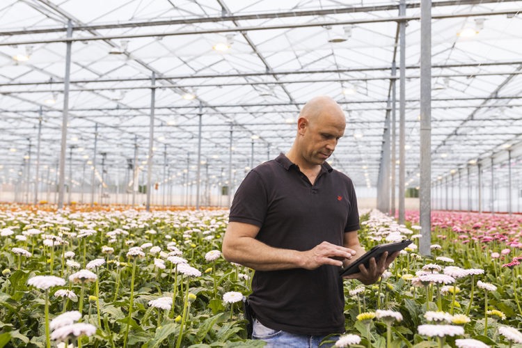 IIVO Customer Stories